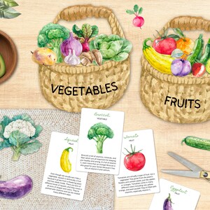 May include: Two baskets, one labeled "VEGETABLES" and the other "FRUITS", filled with various fruits and vegetables.  Cards with names and descriptions of each item are scattered around the baskets.
