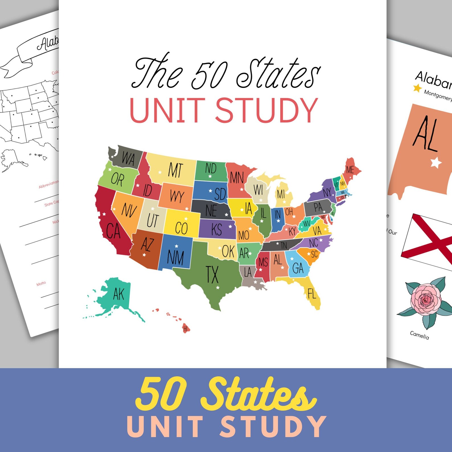 50 States Unit Study, US Fifty States and Capitals Workbook, 50 States ...
