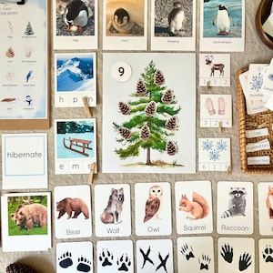 Winter Unit Study, Winter Activity Bundle, Winter Learning, Winter Activities for Kids, Winter Printable Worksheets, Nature Unit Study