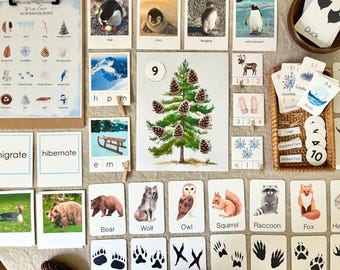 Winter Unit Study: Nature Activities Bundle (Printable Worksheets)