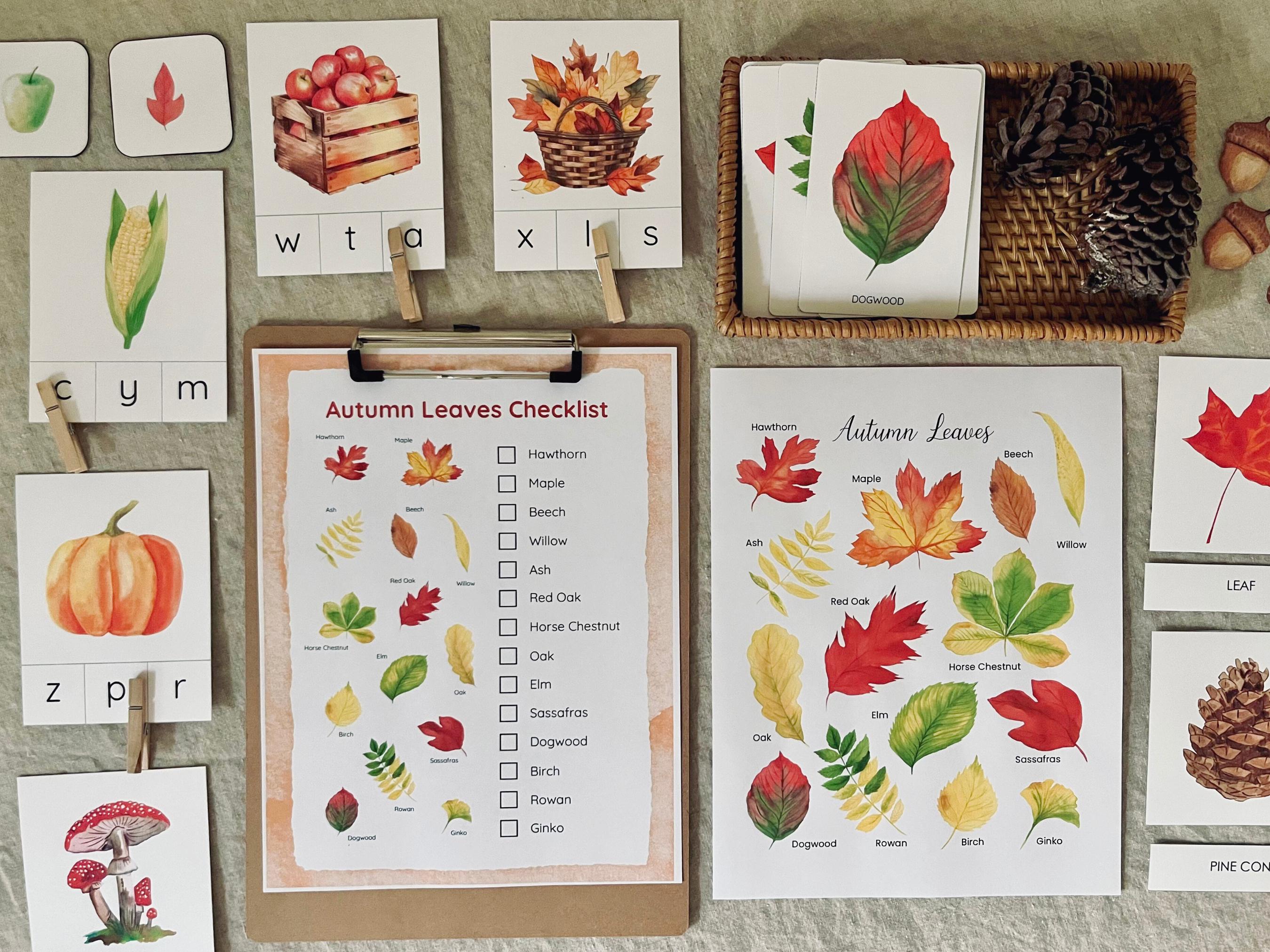 Autumn Unit Study, Fall Homeschool Printables, Fall Activity Pages ...
