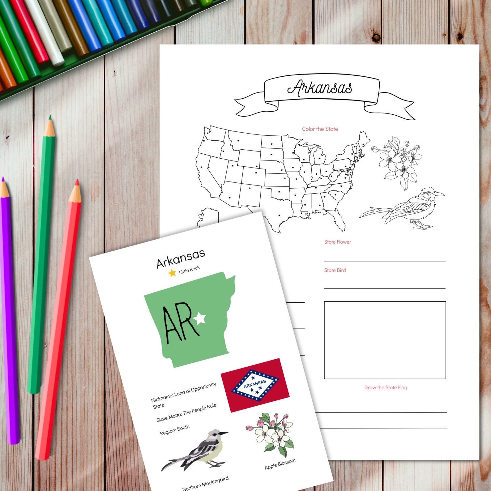 50 States Unit Study, US Fifty States and Capitals Workbook, 50 States ...
