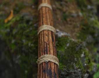Handmade Rain stick ( 6 + minutes)