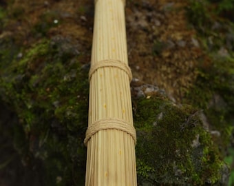 Handmade Rain stick  ( 5 + minutes)