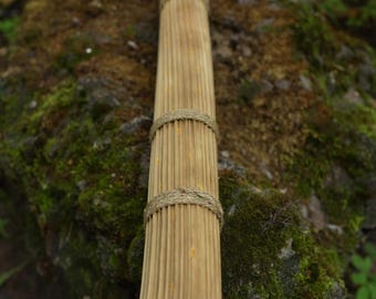 Handmade Rain stick ( 5 + minutes)