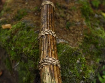 Handmade Rain stick ( ~ 5 minutes)