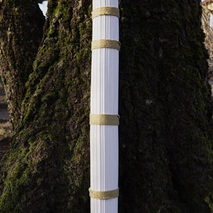 Handmade Rain stick  (~ 10 minutes)