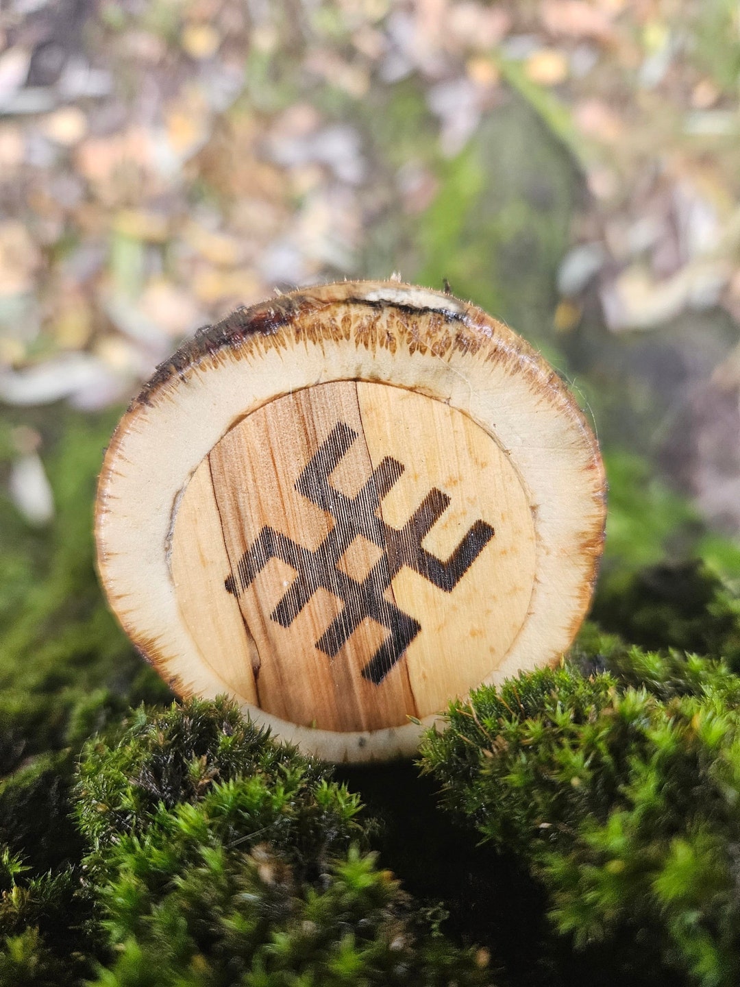 Hogweed Rainstick Long Sound Duration 6 Minutes Etsy