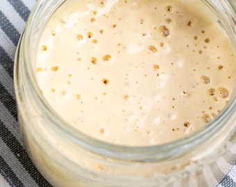 124yr old LIQUID Charleston Sourdough Starter | Guaranteed Bubbly | Beginner Friendly | Low Country Heirloom | Probiotic Rich | Fast Acting