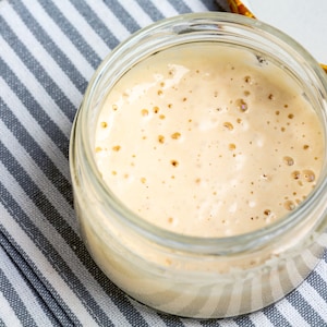100+ year old Sourdough Starter from Charleston, SC | Bubbly Active Sourdough Starter | Sourdough Bread | Ballerina Farms Inspired