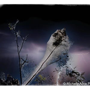 The Sorceress Wand Behold the enchanting Sorceress Wand.  Lightning is striking and the Sorceress is there.  Halloween is the time of magic.