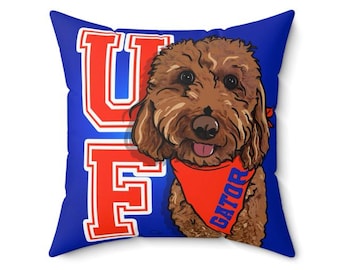 ANY COLLEGE Pop Pet Pillow, Custom College Gifts, Bed Party Favorite, Personalized Dorm Decor, Square Pillow, any school or decor color!