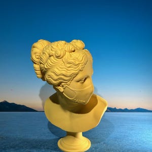 3D Printed Masked Venus Bust