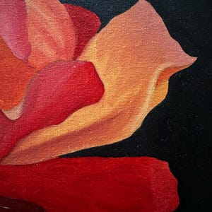 May include: Close-up oil painting of a rose, with petals shifting from deep red to orange and yellow against a black backdrop. The artwork highlights textured brushstrokes and a focus on colour and form, creating a striking visual.