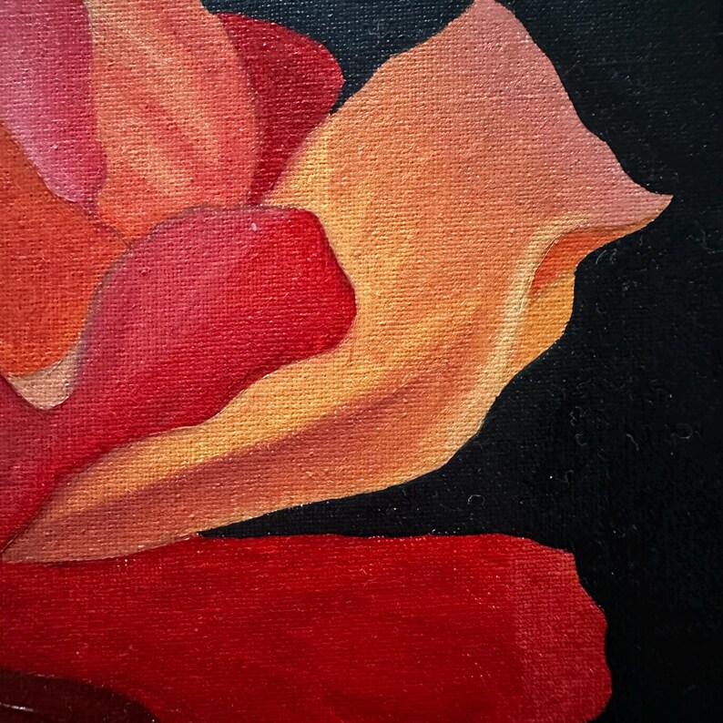 May include: Close-up oil painting of a rose, with petals shifting from deep red to orange and yellow against a black backdrop. The artwork highlights textured brushstrokes and a focus on colour and form, creating a striking visual.