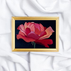 May include: A framed painting of a red rose against a dark background. The rose features layers of red and pink petals. The rectangular frame is gold-coloured. The painting is set against a white fabric background.