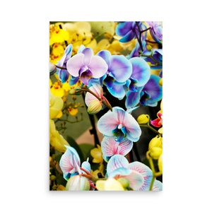 Colorful Orchids Photography Statement Poster Home Décor