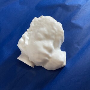 3D Ultrasound Printed Sculpture [Custom]