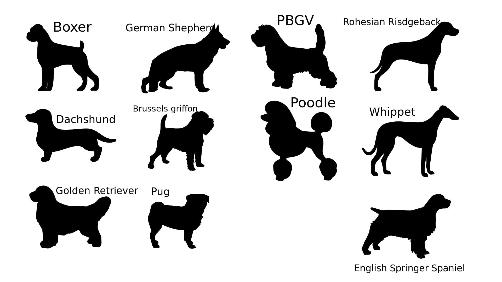 Dog Cookie Cutters multiple Breeds Available Etsy Australia