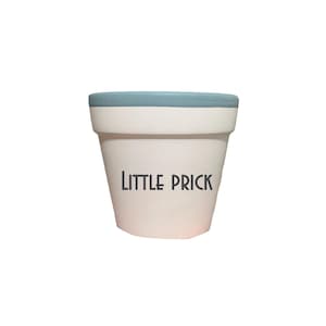 Little Prick Planter