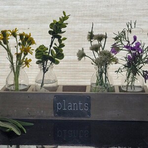 Plantenstartpakket met 4 handgeëtste glazen flessen in een schuurhouten kist