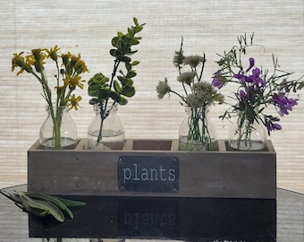 Plants starter kit with 4 hand etched glass bottles in a barn wood box