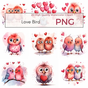 Niedliche Liebe Vogel Clipart, hohe Qualität PNG, Valentinstag Clipart, Liebe PNG, Valentines Sublimation, digitaler Download, digitales Papier Handwerk