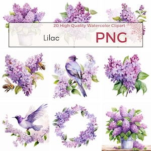 Imágenes prediseñadas lilas, PNG de alta calidad, imágenes prediseñadas florales lindas, PNG de flores, sublimación de primavera, fabricación de tarjetas lilas, descarga instantánea, uso comercial