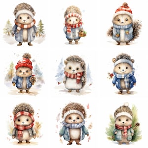 20 Christmas Cute Baby Hedgehog Clipart, png de alta qualidade, clipart de inverno, fofo, imprimíveis, lixo eletrônico, scrapbooking, downloads digitais