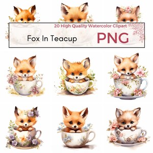 Fox In Teacup Clipart, PNG de haute qualité, Mignons animaux des bois PNG, Nursery Floral Clipart, Card Making Digital Paper Craft Téléchargement instantané