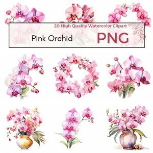 Pink Orchid Clipart, High Quality PNG, Cute Floral Clipart, Spring PNG, Orchid PNG Sublimation, Card Making, Instant Download Commercial Use