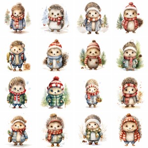 Aquarela Natal Baby Hedgehog Clipart, png de alta qualidade, inverno, clipart de férias, ouriço fofo, impressões, sublimação, download instantâneo