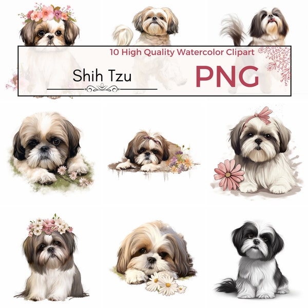 Set of 10 - Shih Tzu Clipart, Dog Illustrations, Card Making, Dog Clipart, Shih Tzu Digital Prints, High Quality PNG, Commercial Use