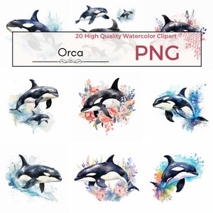 20 Watercolor Orca Clipart Set - Orca Clipart PNG - Cute Whale Clipart - Commercial Use - Digital Prints - Whale PNG, Fish Clipart