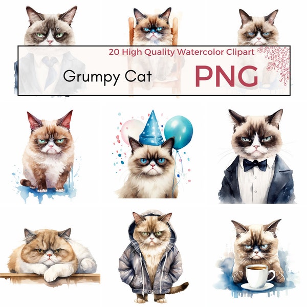 Grumpy Cat Clipart, High Quality PNG, Cute Funny Cat PNG, Pet Clipart, Animal Sublimation, Cat Printables, Instant Download, Commercial Use