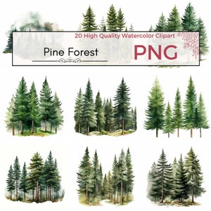 Clipart foresta di pini, PNG di alta qualità, Clipart di boschi, Clipart di paesaggi forestali, PNG foresta, Clipart di alberi ad acquerello, download istantaneo