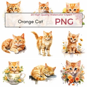 Clipart chat orange, PNG de haute qualité, Clipart chaton mignon, sublimation de chat, graphiques de chaton pour animaux de compagnie, PNG Animal, téléchargement immédiat usage Commercial