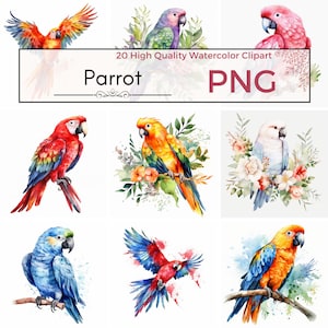 Watercolor Parrot Clipart PNG, Tropical birds clip art with flowers and leaves scrapbooking junk journal Instant Download for commercial use