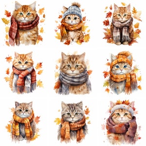 Watercolor Autumn Cat With Scarf Clipart, high quality png, fall cute cat animals clip art, halloween Prints, Sublimation, instant download