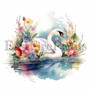 20 Watercolor Swan Clipart PNG | Baby Swan, Bird, Nursery, Printable ...