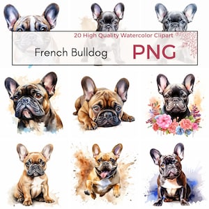 Französische Bulldogge Clipart, hohe Qualität PNG, süße Frenchie PNG, Hund Clipart, Welpe Sublimation, Kartenherstellung, sofortiger Download, kommerzielle Nutzung
