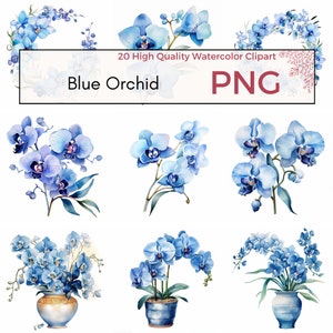 青い蘭のクリップアート、高品質の PNG、花のクリップアート、春のクリップアート、蘭の PNG、花束 PNG、カード作成、デジタルダウンロード商用利用