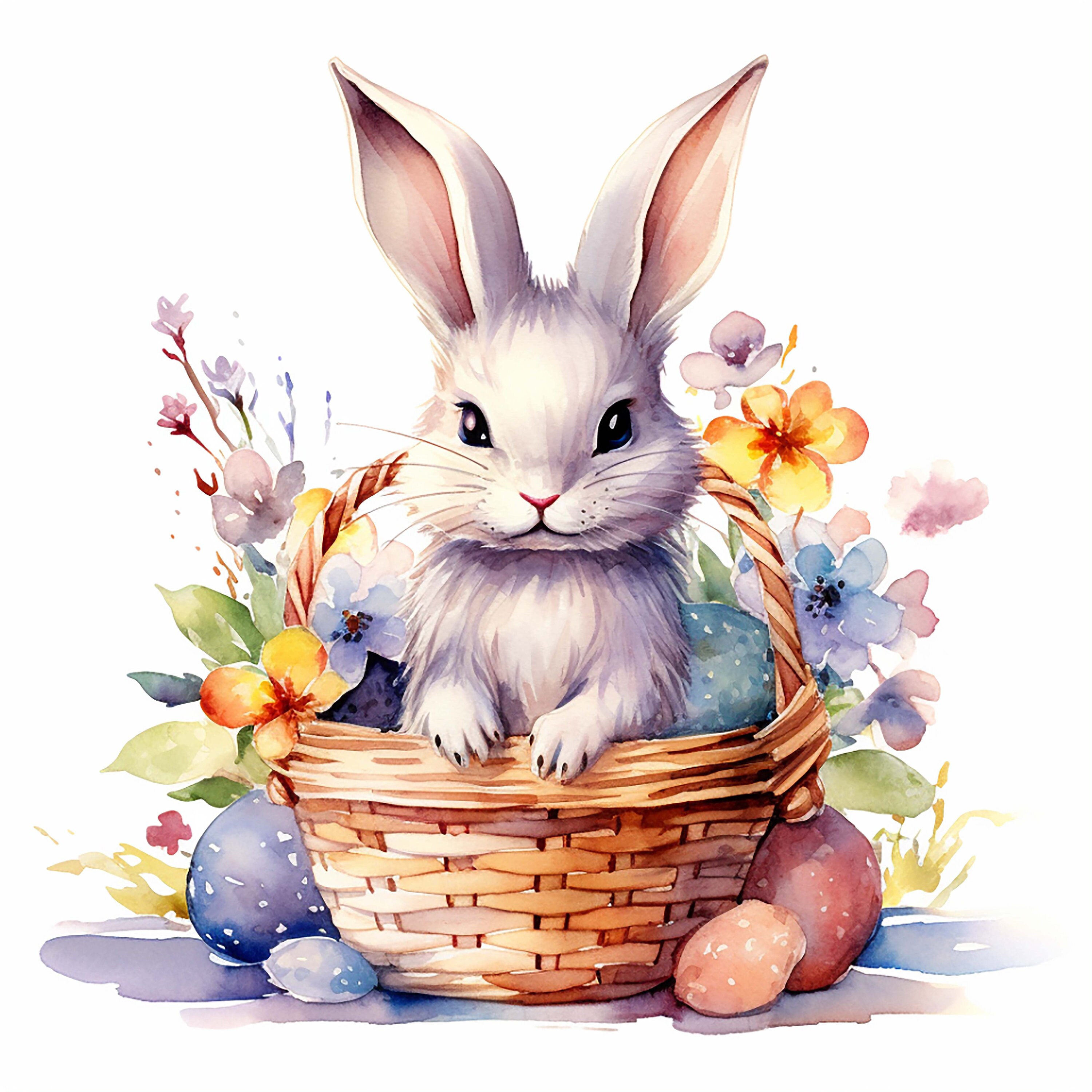 Easter Bunny Basket Clipart High Quality PNG Easter Clipart Etsy