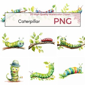 Raupe Clipart, hohe Qualität PNG, süßes Insekt PNG, Frühling, Fehler PNG, Schmetterling Kunst, Natur Sublimation, sofortiger Download, kommerzielle Nutzung