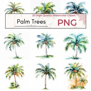 Watercolor Palm Trees Clipart PNG, Hawaii themed tropical island clip art, coconuts, palm tree graphics, instant download for commercial use