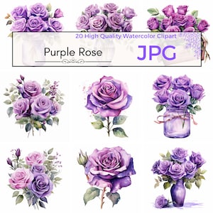 Aquarela Purple Rose Clipart, clipart floral sublimação de rosas clipart fofo flor jpg Scrapbooking, uso comercial, JPG download digital