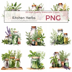 Clipart de ervas de cozinha, alta qualidade png clipart de jardim de ervas ervas de sublimação de cozinha png clipart aquarela Criação de cartões, download instantâneo