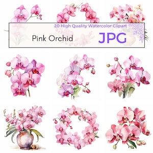 Watercolor Pink Orchid Clipart, High quality JPG, Floral Wall Art, Spring Clipart, Flower JPG, Sublimation, Instant Download, Commercial Use