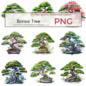 Bonsai Tree Clipart, high quality png tree sublimation asian clipart junk journaling png Watercolor clipart, Card making, Instant download