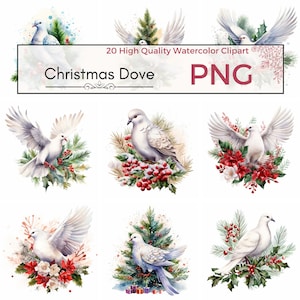 Weihnachten weiße Taube Clipart, Urlaub png, Weihnachten Clipart Vogel png xmas druckbare Kunst, Aquarell Grafiken, Karte machen, sofortiger download